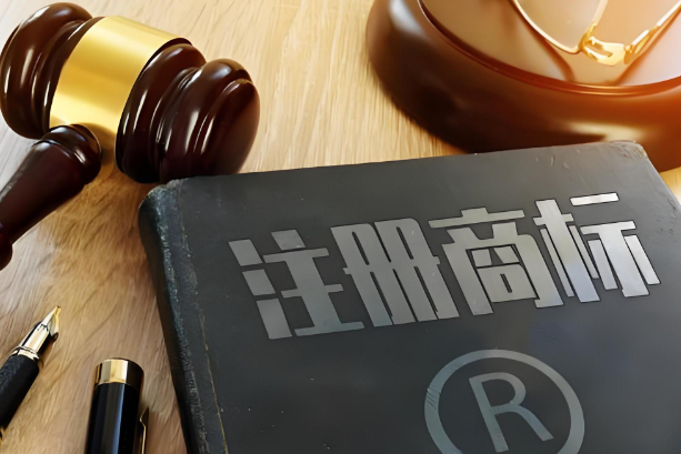 商標(biāo)駁回復(fù)審流程的注意事項(xiàng)有哪些？