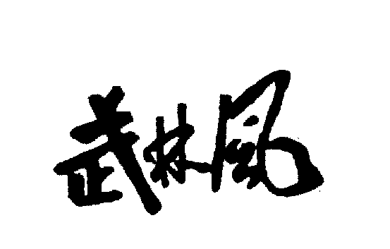 武林風電動車商標